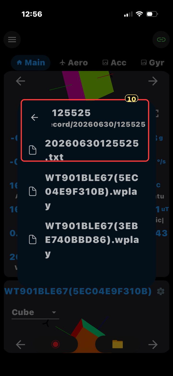 WitMotion saved recording folder with text and wplay files